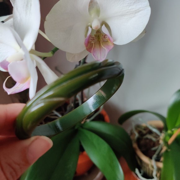 Vintage Bakelite Bracelet Jewelry - Vintage Green Spinach Carved Bakelite Bracelet